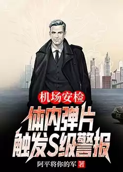机场安检体内弹片触发S级警报小说