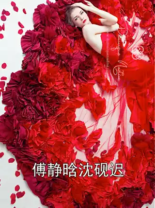 傅静晗沈砚迟小说