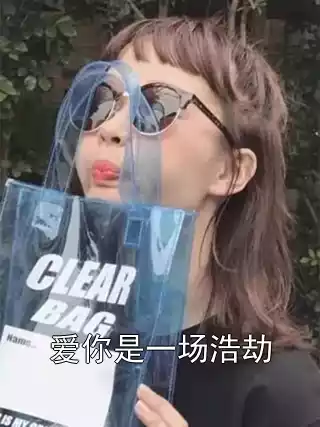 爱你是一场浩劫