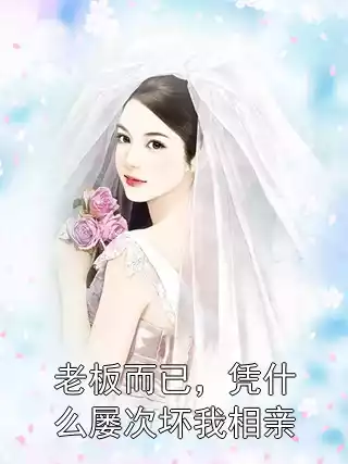 老板而已，凭什么屡次坏我相亲小说