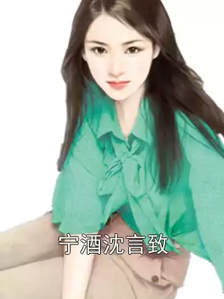 宁酒沈言致小说