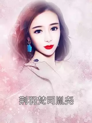 荆羽梵司胤尧小说