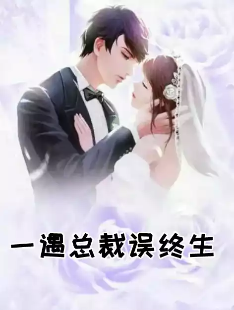 一遇总裁误终生小说