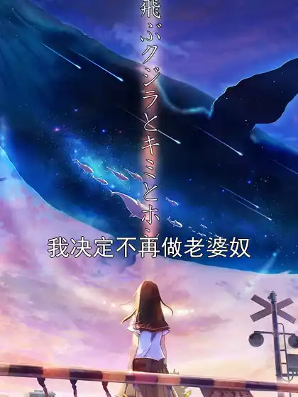 我决定不再做老婆奴小说