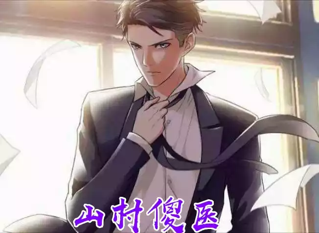 山村傻医小说