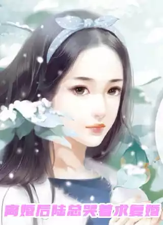 离婚后陆总哭着求复婚小说