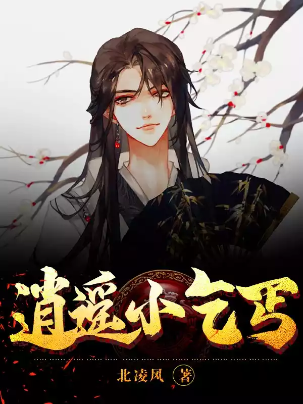 逍遥小乞丐小说