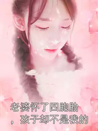 老婆怀了四胞胎，孩子却不是我的小说