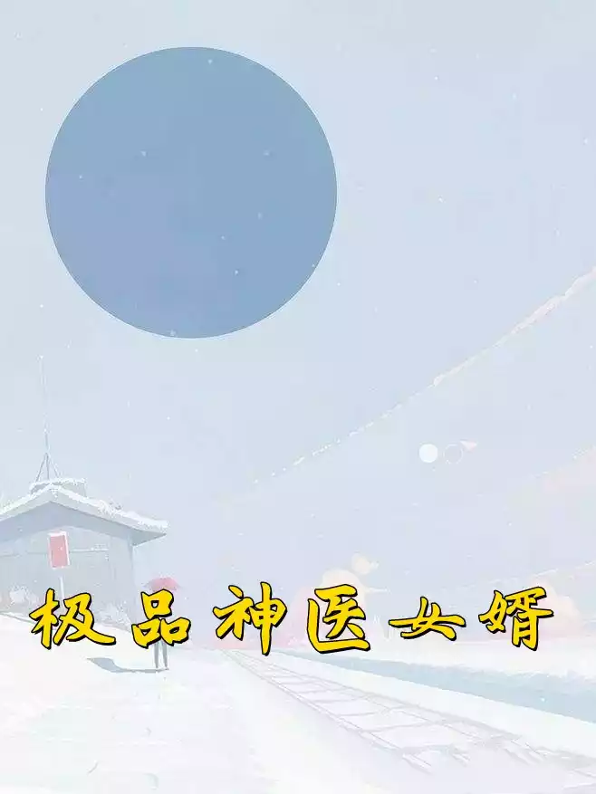 极品神医女婿小说