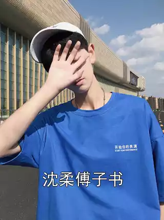沈柔傅子书小说