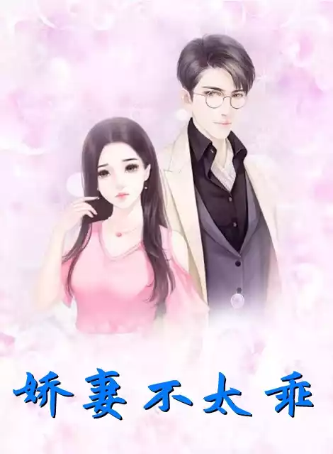 娇妻不太乖小说