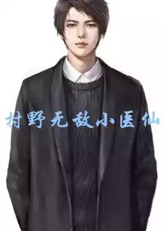 村野无敌小医仙小说
