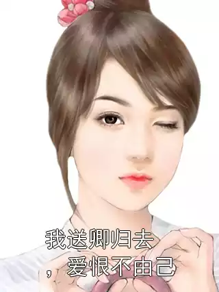 我送卿归去，爱恨不由己小说