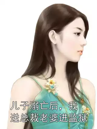 儿子溺亡后，我送总裁老婆进监狱小说