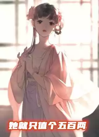 她就只值个五百两小说