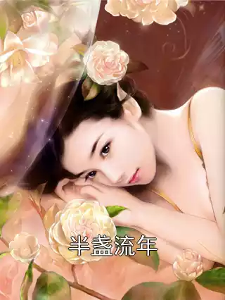 半盏流年小说