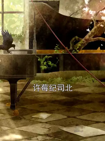 许莓纪司北小说