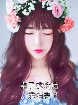 奉子成婚后，我消失了小说