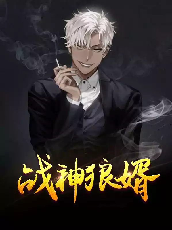 战神狼婿小说