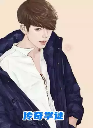 传奇学徒小说