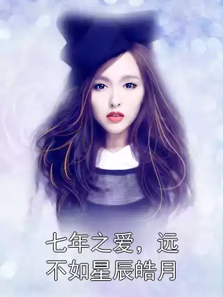 七年之爱，远不如星辰皓月小说
