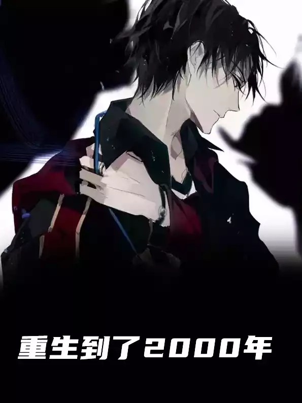 重生到了2000年小说