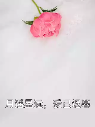 月遥星远，爱已迟暮小说
