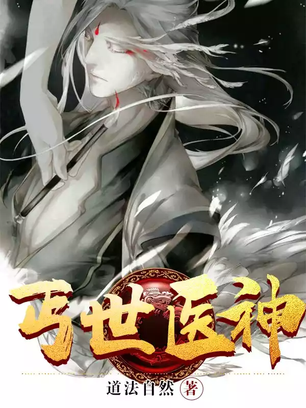 丐世医神小说