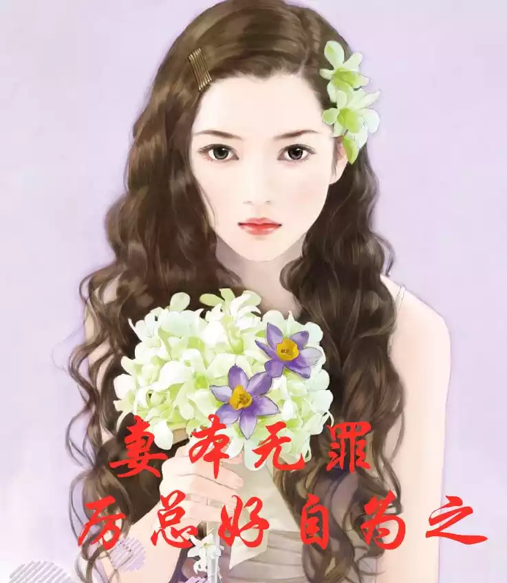 妻本无罪厉总好自为之小说
