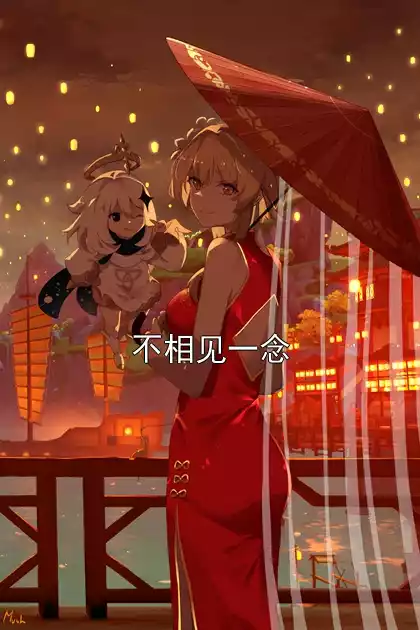 不相见一念小说