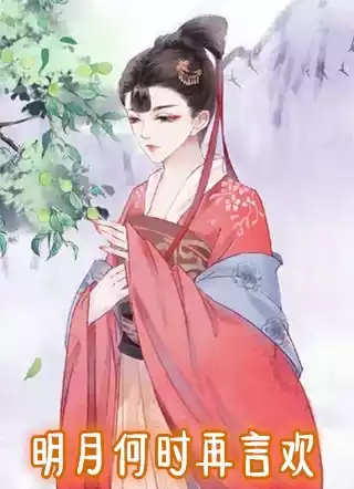 明月何时再言欢小说