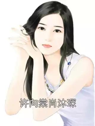 许向棠肖沐琛小说