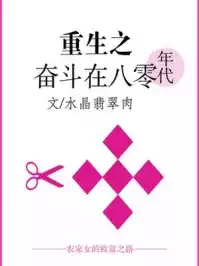 重生奋斗在八零年代小说