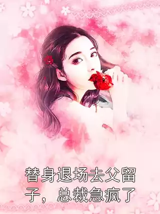 替身退场去父留子，总裁急疯了小说