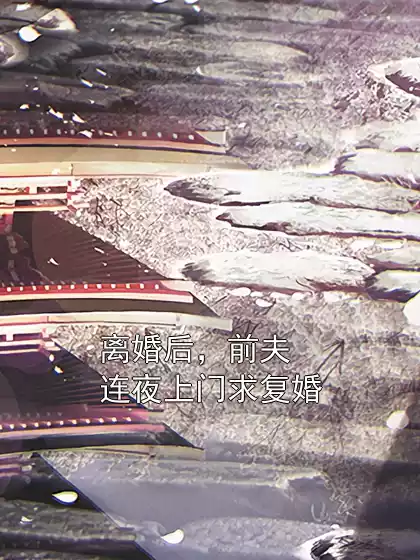 离婚后，前夫连夜上门求复婚小说