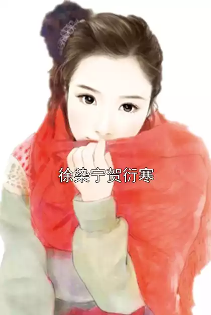 徐染宁贺衍寒小说