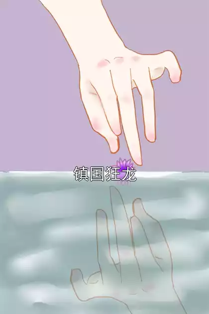 镇国狂龙小说