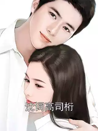 沈词高司桁小说