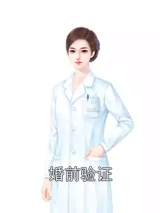 婚前验证小说