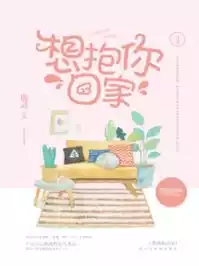 想抱你回家小说