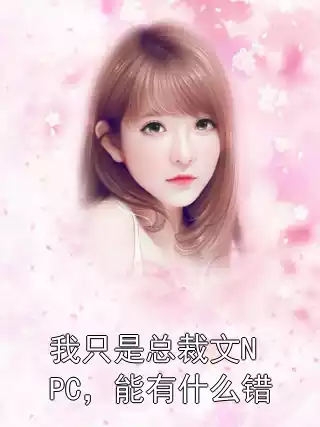 我只是总裁文NPC，能有什么错小说