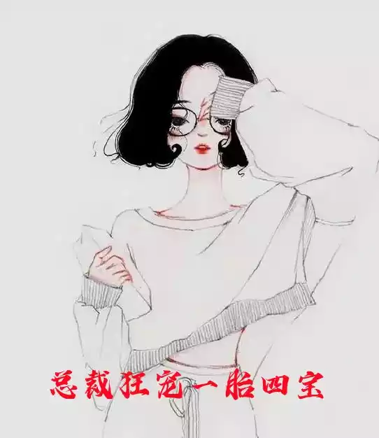 总裁狂宠一胎四宝小说