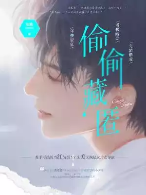 偷偷藏匿小说