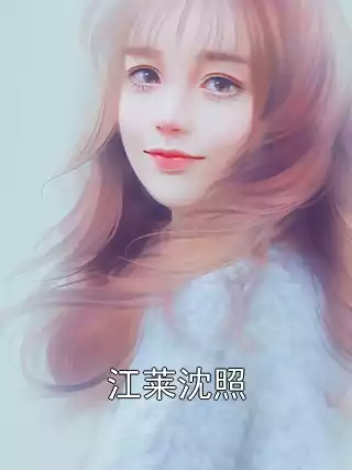 江莱沈照小说