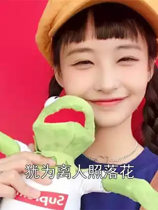 犹为离人照落花小说