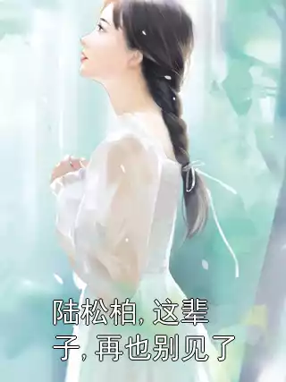 陆松柏,这辈子,再也别见了小说
