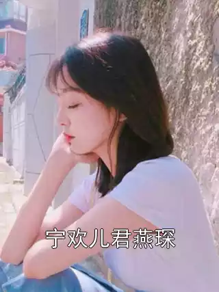 宁欢儿君燕琛小说
