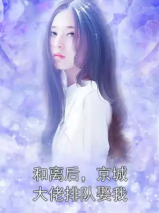 和离后，京城大佬排队娶我小说