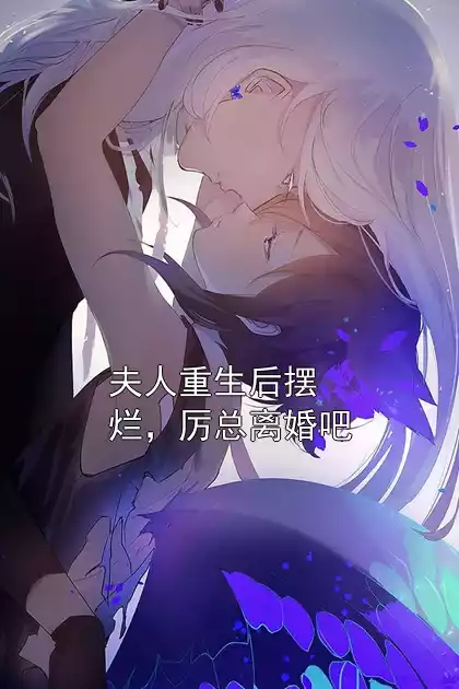 夫人重生后摆烂，厉总离婚吧小说