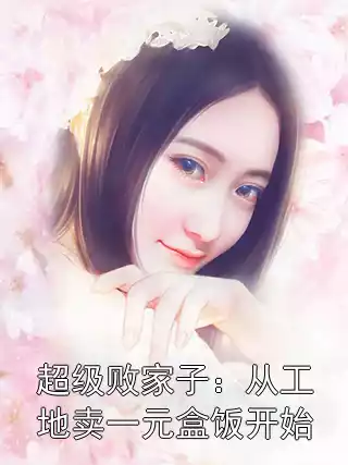 超级败家子：从工地卖一元盒饭开始